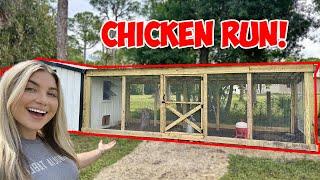 BUILDING A MASSIVE CHICKEN COOP RUN!