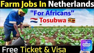 Farm Jobs in Netherlands | Netherlands Seasonal work visa.