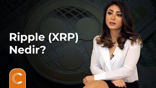 Ripple (XRP) Nedir? - Coinkolik