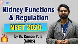 Regulation of Kidney function - NEET Biology | ATP STAR NEET | Dr Raman patel