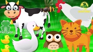 Animal Sounds | Albanian Nursery Rhymes | Bleta ™