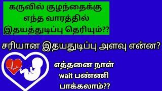 Baby heart beat during pregnancy in Tamil| கருவில் குழந்தையின் இதய துடிப்பு எப்போது தெரியும்?