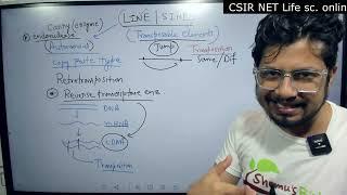 LINE and SINE transposons | Alu elements | Eukaryotic transposons