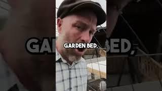 The ultimate backyard chicken coop