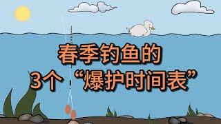 春季钓鱼，掌握3个“爆护时间表”，连竿爆护也不难!