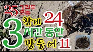 3시간 동안 참게 24마리 망둥어 11마리 잡기