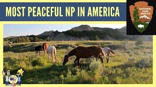 YOU Were Sleeping In Theodore Roosevelt National Park - Travel Small Live Big Series