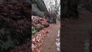 내 인생에 박수 #생각명료화전문가김일교수 #건강관리 #자연과함께살기 #건강 #김일교수