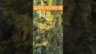 길치가 미로에 들어오면 하는말?!#신혼부부 #신혼부부vlog #여행 #여행브이로그 #shorts #short #길치 #커플브이로그 #커플싸움