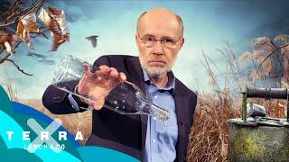 Dürre Zeiten – Der Kampf ums Wasser – Leschs Kosmos [Ganze TV-Folge] | Harald Lesch