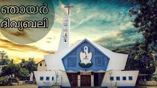 17 NOVEMBER 2024 II 6:00AM II SUNDAY LIVE HOLY MASS II ST. PHILOMINAS CHURCH KOONAMMAVU