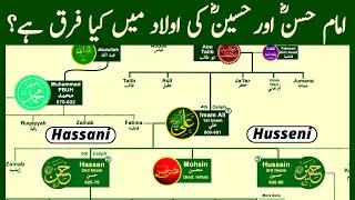 Hazrat Ali Family Tree | Imam Hassan & Hussein Family Tree