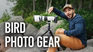 Essential Bird Photography Gear Guide