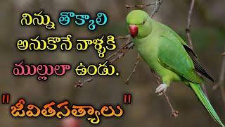 జీవిత సత్యాలు #146 |మంచి మాటలు|Inspirational quotes|Motivational quotes|సూక్తులు|Telugu quotes