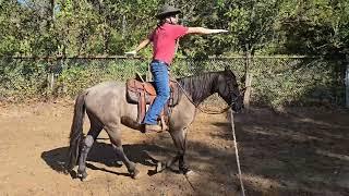 Equestrian yoga intermediate level - stage one seeded, poses holding a two point position.