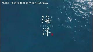 家园 生态多样性的中国 第一集：海洋 China Wild E01: Ocean