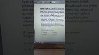 Şırnak il milli eğitim 8.sınıf 3.online LGS Türkçe 4.soru