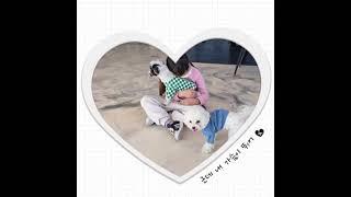 사랑해 멍멍아
