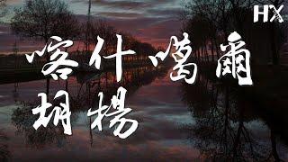 喀什噶爾胡楊 - 刀郎『任我是三千年的成長』【動態歌詞Lyrics】