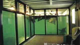 50000 + 15000 Gallon Monster Tanks - MonsterFishkeepers.com