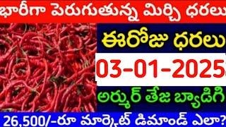 03-01-2025 గుంటూరు మిర్చి మార్కేట్ ధర || Today #MirchiRates In market ||  Mirchi Rate Increase ??