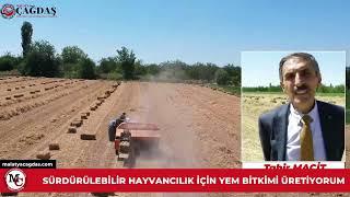 SÜRDÜRÜLEBİLİR HAYVANCILIK İÇİN YEM BİTKİMİ ÜRETİYORUM