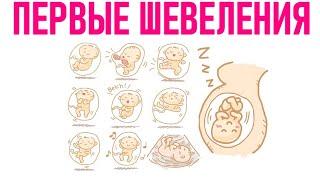 СРОК ПОЯВЛЕНИЯ ПЕРВОГО ШЕВЕЛЕНИЯ ВО ВРЕМЯ БЕРЕМЕННОСТИ | На каком сроке начинает шевелиться ребенок