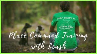 Place Command Training with Leash | Dog Training Video