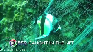 CAUGHT IN THE NET | Ch3Thailand