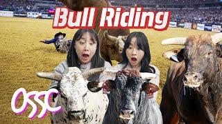 Korean Girls React To American Bull Riding For The First Time | 𝙊𝙎𝙎𝘾