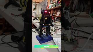 ROBOT HORIKAWA RUTINA 3 BAILAR