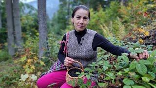 THE WOMAN LIVES ALONE IN THE MOUNTAINS! Cooking Сheesecake!