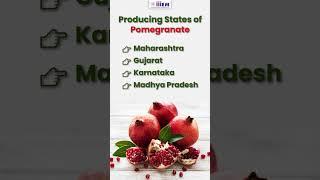 Top Indian States Producing Pomegranate | Learn Export Import Business #shorts #iiiEM