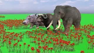 choose 3d right key,animals,cow,elephant,gorilla,dinosaur,animals escape 2room,choose the right  w