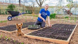 SQUARE FOOT Gardening, How to Grow MORE FOOD in LESS SPACE!