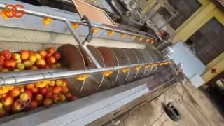 commercial industrial double brush type fruit and vegetable washing line best price