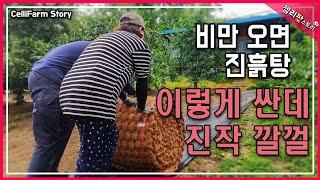 질퍽한 마당 탈출! 쿠팡 보다 싼 당근 야자매트 직접 깔았어요 (비 오는 날 필수템) DIY 노하우 포함