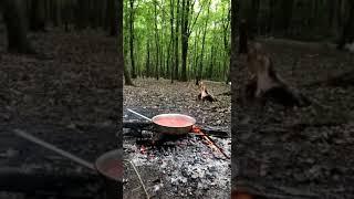 Camping and Cooking in Nature - کمپ کردن و درست کردن غذا در طبیعت