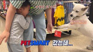 [아빠 VLOG]     권우 개한테 맞은 날 | Elliot gets attacked by a dog!!