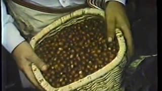 1972 Juan Valdez Picks Coffee Beans TV Commercial