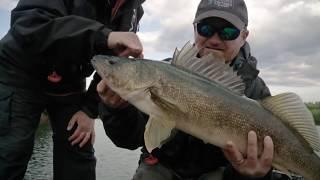 Huge Walleye Using Side Scanning on Hawk Lake | Fish'n Canada
