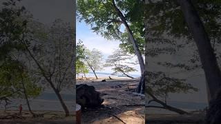 Video of two beautiful places One name is Kala Pathar Beach. Another name is Butler Bay Beach.