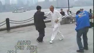 Master Fei Guo Qing. Taijiquan style Wu. Tuishou. Shanghai