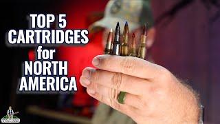 Top 5 Hunting Cartridges For North America