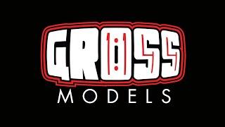 Introduction to Gross Models