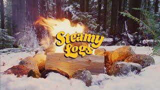 Snowy Virtual Campfire [4K] | Steamy Logs