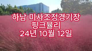 하남 핑크뮬리 명소 미사리 조정경기장 미사 경정공원 241012