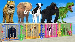 Cow Mammoth Elephant Dinosaur Gorilla Guess The Right Key ESCAPE ROOM CHALLENGE Animals Cage Game