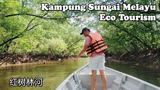 【船游红树林】 Eco Tourism Kampung Sungai Melayu | Louis & Kim