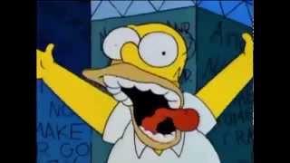 Homer goes crazy